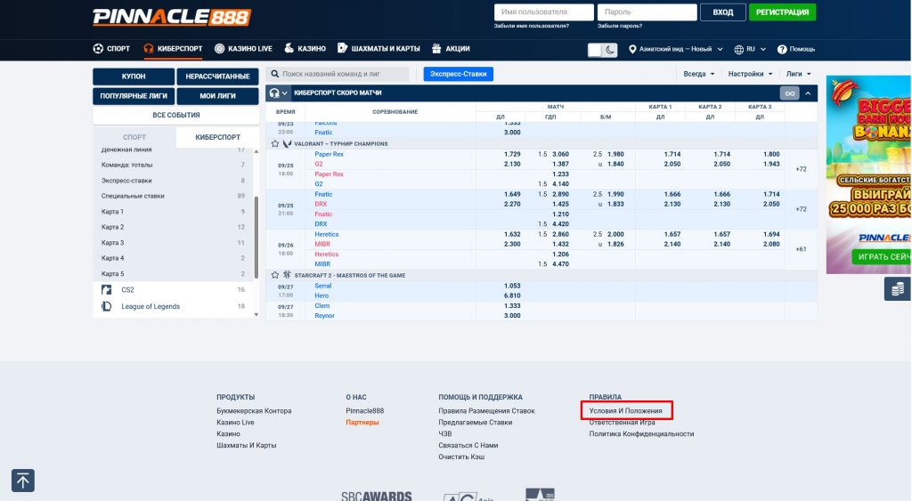 Раздел Условия и Положения